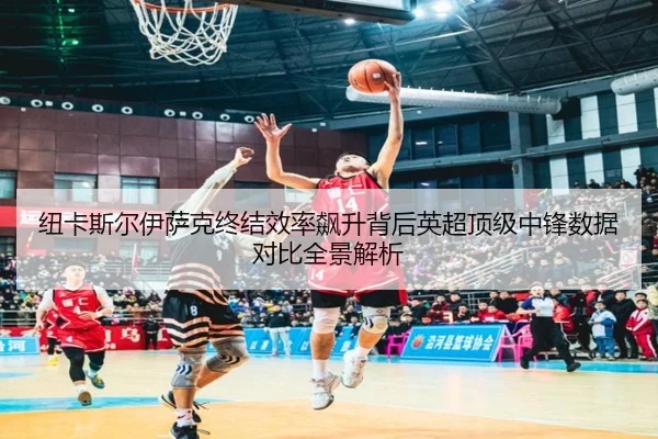 纽卡斯尔伊萨克终结效率飙升背后英超顶级中锋数据对比全景解析