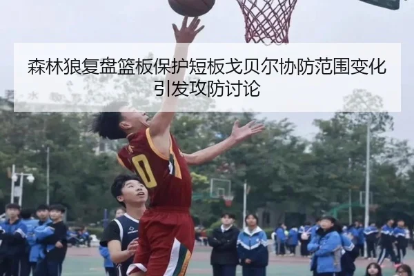 森林狼复盘篮板保护短板戈贝尔协防范围变化引发攻防讨论